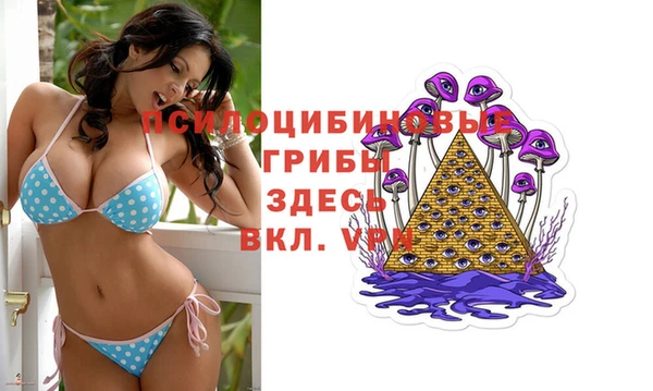 сатива Михайловск