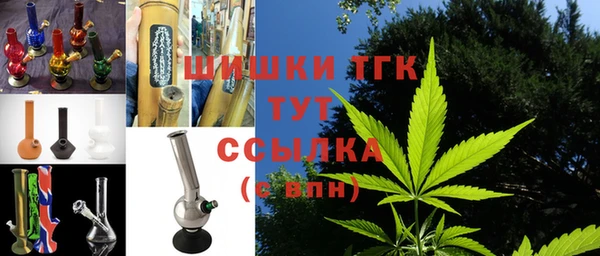сатива Михайловск